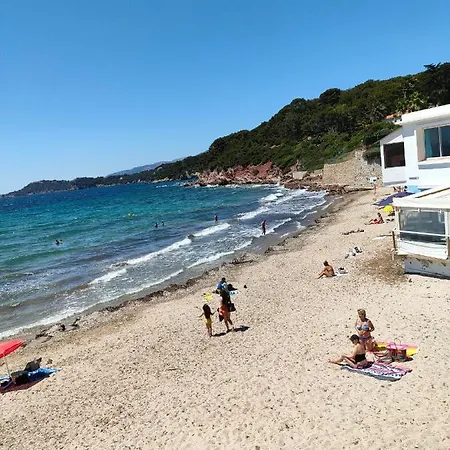 Lägenhet Charmant Studio Les Pieds Dans L'Eau Le Pradet